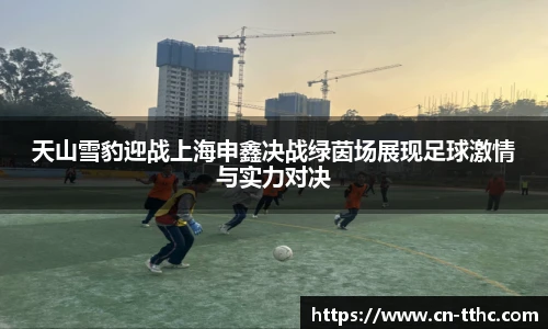 天山雪豹迎战上海申鑫决战绿茵场展现足球激情与实力对决